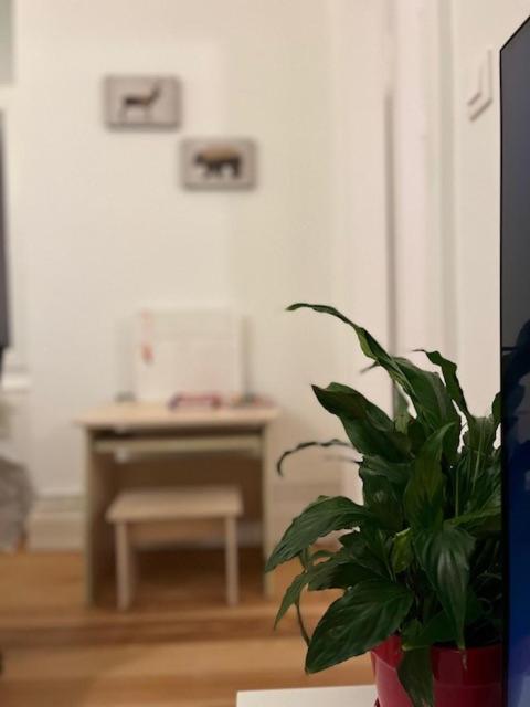 Cosy Rent-Strasbourg Gare 1-Wifi Exterior photo